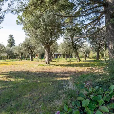 Apartment Pisenze Lake Apartments Manerba del Garda