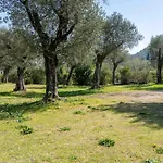 La Rocca *