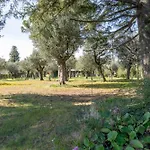 Appartamento La Rocca Manerba del Garda